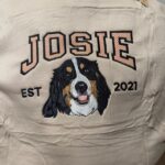 Alexa Ariola review photo