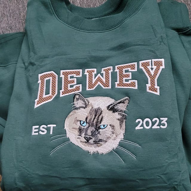 Angela Shaffer review photo