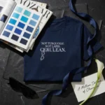 embroidered-sweatshirt