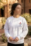embroidered-sweatshirt